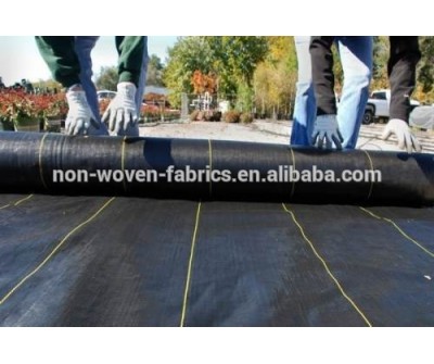 hot sale in North America OEM factory pp woven fabric in roll/pp woven landscape fabric